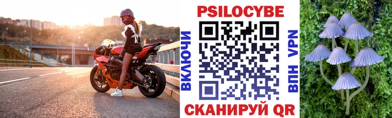 Псилоцибиновые грибы прущие грибы  наркотики  Опочка 